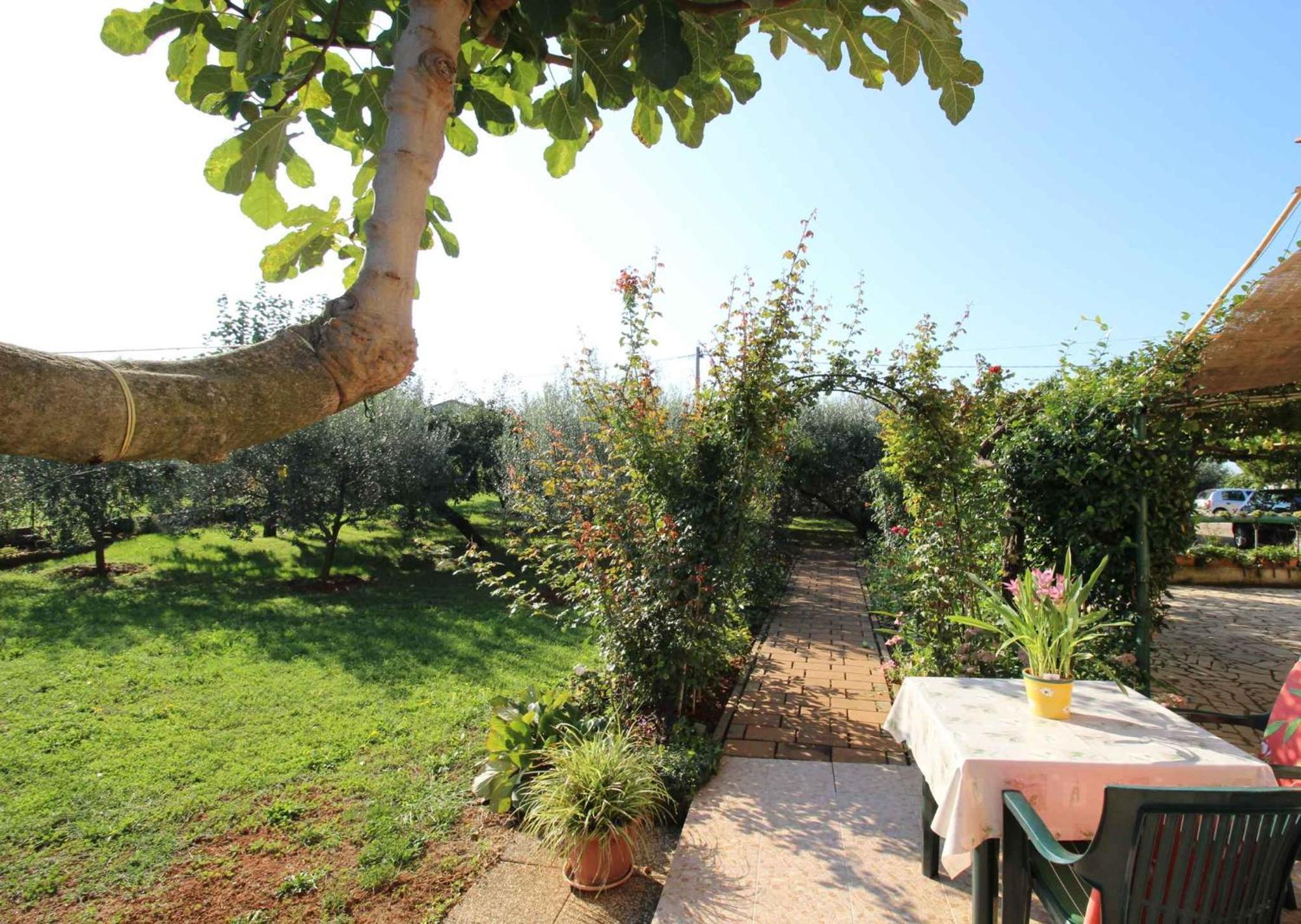 Apartments In Novigrad - Istrien 46738 Karpinjan 外观 照片